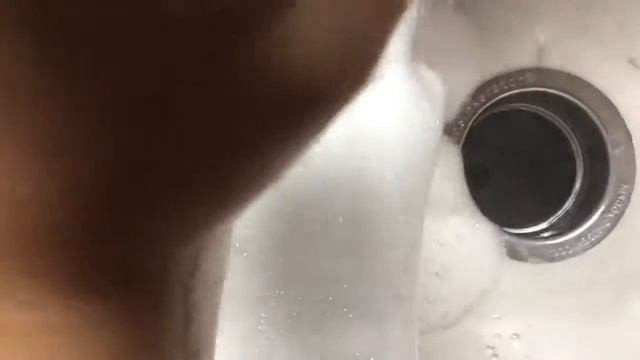 Insinkerator Evolution 200