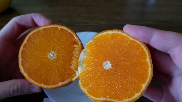 Сitrus mandarine Tangor Ortanique / Mandora / Topaz смотреть онлайн