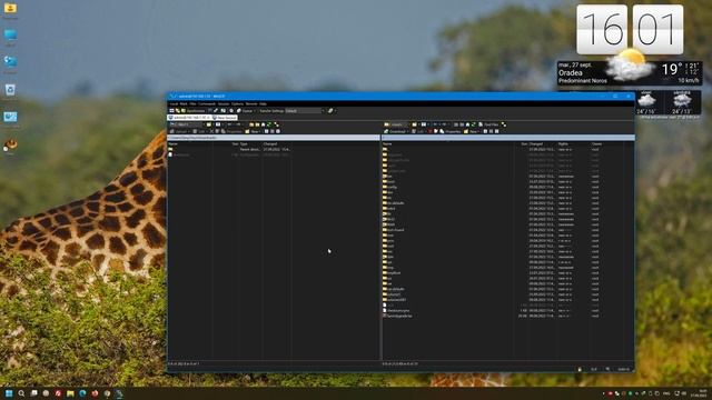 How to login as root on synology with Winscp (ssh as root) смотреть онлайн