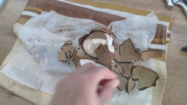 Как очистить кокос? Самый полезный орех! Вы знали о пользе кокоса? смотреть онлайн