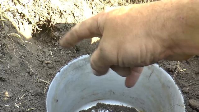 Как поймать КРОТА живым смотреть онлайн