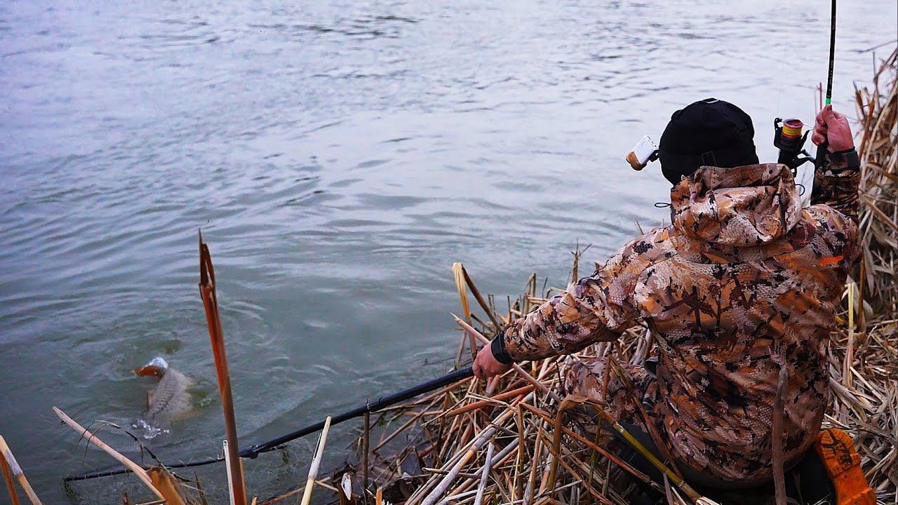 ВОТ ЭТО РЫБАЛКА! Я НЕ МОГУ ЕГО ВЫТАЩИТЬ. Крупные сазаны. Рыбалка на закидушки. смотреть онлайн