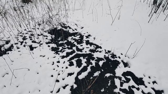 VID 20230401 130832 Ужель в последний раз...1912 (З. Красиньский)...Павел Васильев Лахтинский смотреть онлайн