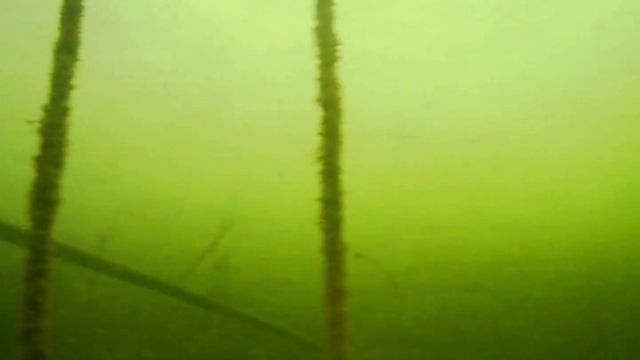 поиск водопроводной трубы смотреть онлайн