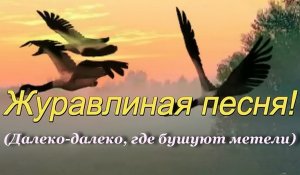 Журавлиная песня (Далеко-далеко, где бушуют метели)
