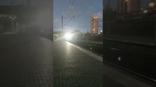 Поезд тарпан-квс3