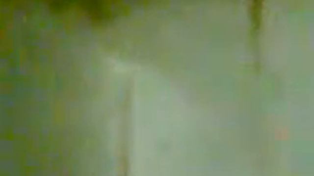 муравей фараон1.3gp смотреть онлайн