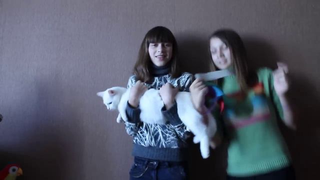 Няшный кот и бешеные дети) смотреть онлайн