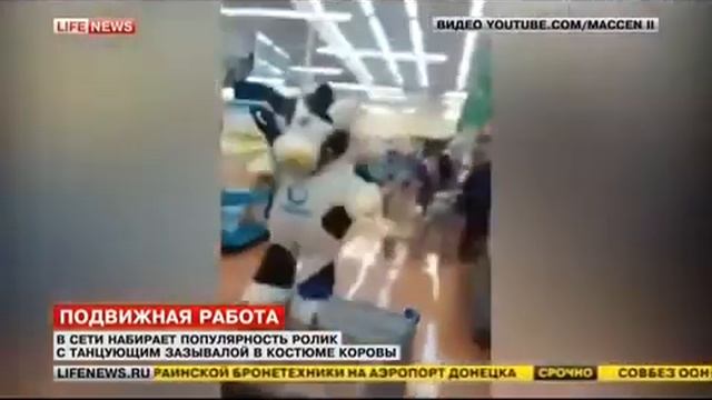 Парень в костюме коровы зажигает прям в магазине! смотреть онлайн