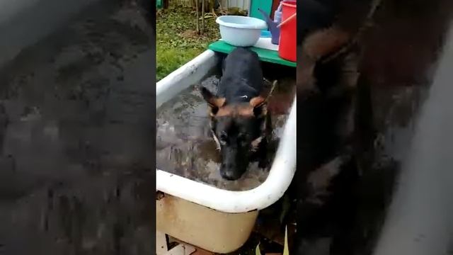 Рем на даче.. из воды не вытащить) смотреть онлайн