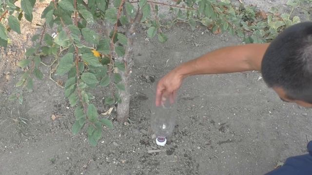 Пару идей которые пригодятся для дома смотреть онлайн