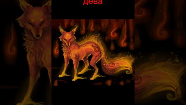 какя ты лиса по зз