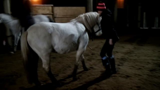 КоноVLOG: 37 Ами учит делать трапецию, первый прыжок у Рокко смотреть онлайн