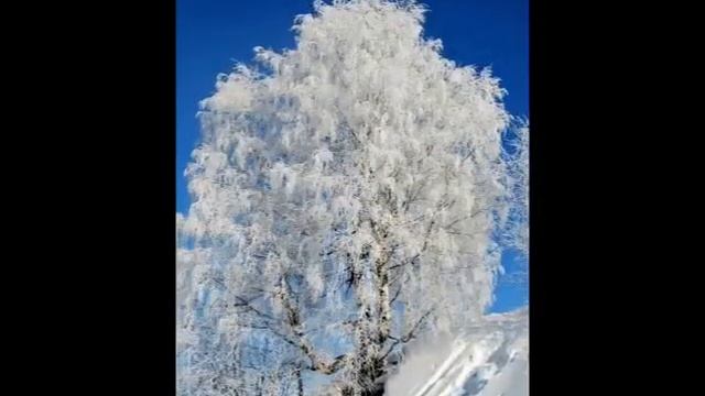 СЕРГЕЙ ЕСЕНИН БЕЛАЯ БЕРЁЗА Александр Чудо смотреть онлайн