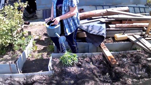 обработала капусту, дальше разбираем 🏡дом... смотреть онлайн