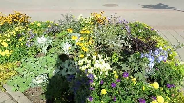ШИКАРНЫЕ примеры сочетания растений на клумбах! смотреть онлайн