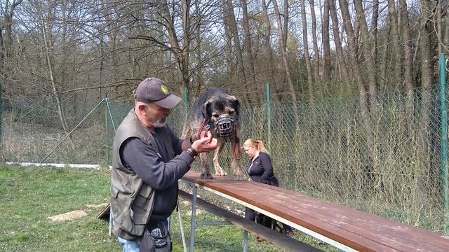 Floyd a kladina 2. pokus. смотреть онлайн