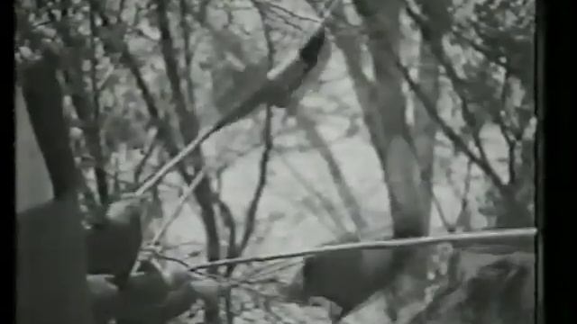 ЮЖНАЯ ОСЕТИЯ ИСТОРИЯ, ПОЛИТИКА, ПРАВО 2006 ГОД смотреть онлайн