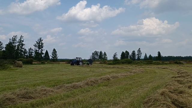 Пресуем сено ПР-Ф145. 1 августа 2022г.