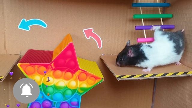 Hamster In Awesome Castle Maze