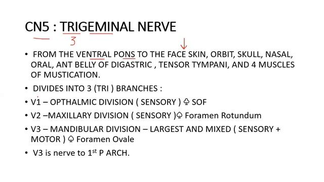 GOLGI`S ANATOMY OF CRANIAL NERVES/ INTRO смотреть онлайн