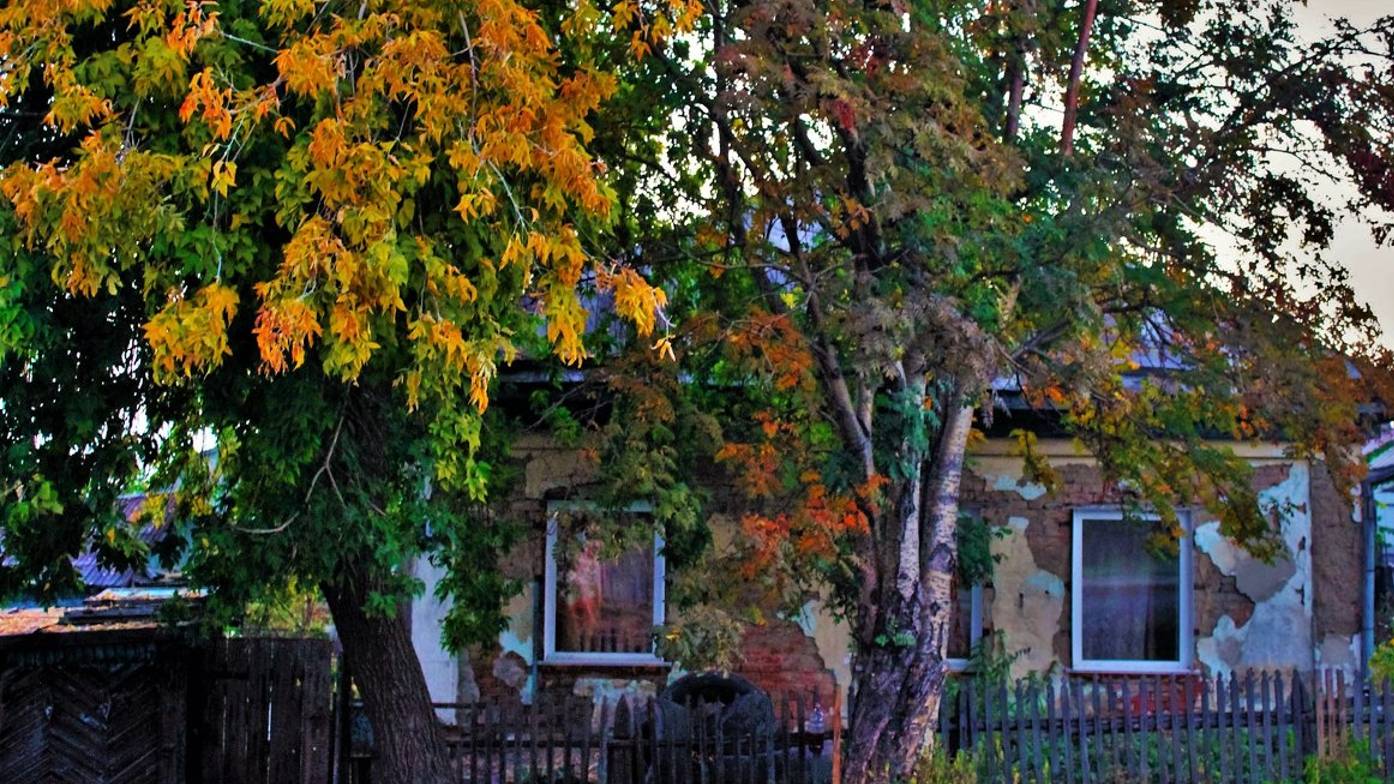 Жаль смотреть онлайн