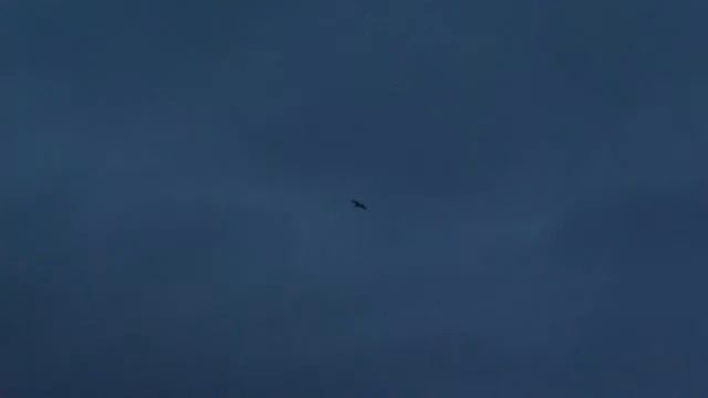 Panasonic Lumix FS30 TEST: HD Video. Beach Twilight смотреть онлайн