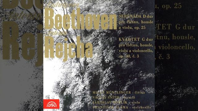 Quartet for Flute, Violin, Viola and Cello, Op. 98 No. 3 - Fugue a deux sujets. Allegro смотреть онлайн