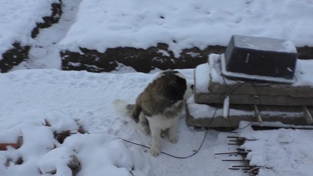 Демонтаж кирпичного дома своими руками. Этап 2. смотреть онлайн
