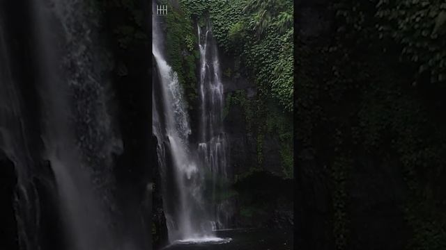 SHILLONG CHERRY BLOSSOM SHORT STORY смотреть онлайн
