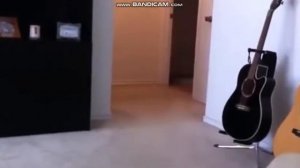 Собачк  смешно пукают!