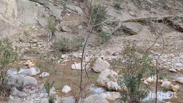 Попали на форелевое хозяйство в горах Антальи #турциямоимиглазами смотреть онлайн