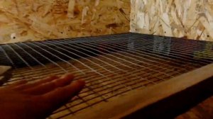 Брудер для цыплят. Гусят утят и другого молодняка. ДЕШЕВЫЙ своими руками.