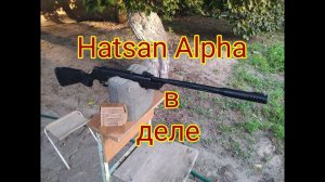 Хатсан Альфа стрельба после обслуживания