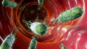 10 фактов о человеческом теле