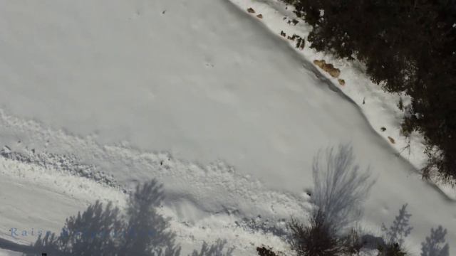 Bansko Банско -лес Music by Sergei Chekalin смотреть онлайн