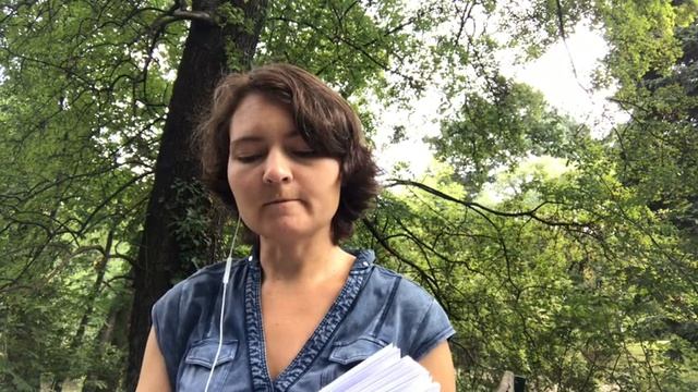 Психотип Посредник (Дюма, ISFP, СЭИ). Психология продаж. Нейромаркетинг смотреть онлайн