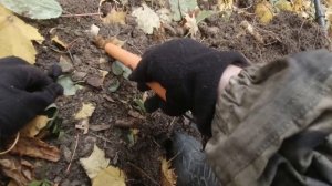 Интроник СТФ лучший по домонголу