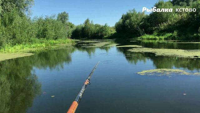 Рыбалка на маленькой речке поплавок.А ВЫ ГОВОРИЛИ ЗДЕСЬ РЫБЫ НЕТ смотреть онлайн