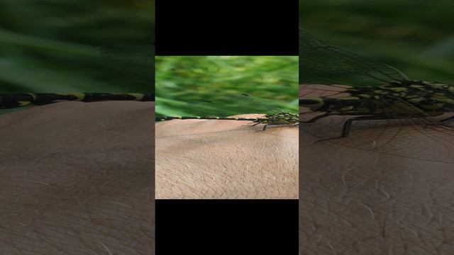 VID_20240616_120758.mp4 смотреть онлайн