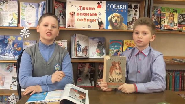 Проект "Четыре сезона читательского года". Книги о собаках смотреть онлайн