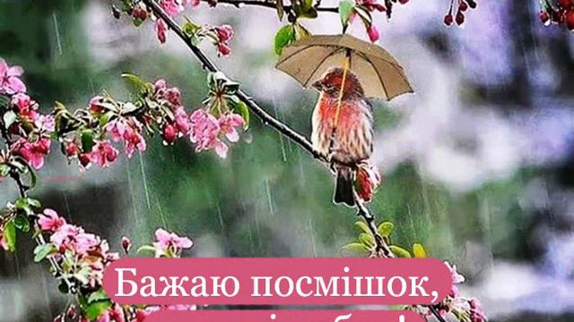 привітання з ювілеєм смотреть онлайн