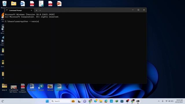 How to install Python 3.12.0 on Windows 11 смотреть онлайн