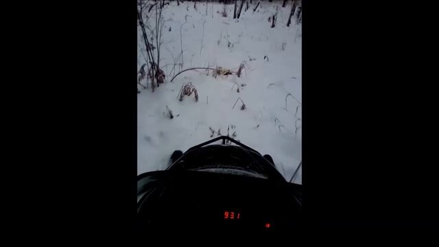 Тайга Варяг 500 тест на проходимость в лесу. смотреть онлайн