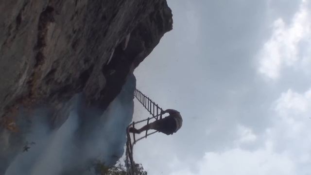 HALLUCINOGEN HONEY HUNTERS - Teaser