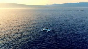?? Lovina Beach  / Bali / Indonesia [4K Ultra HD video from drone]