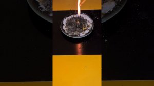 РИТУАЛ ЧИСТКА ПОРЧИ НА 13 ИГЛАХ