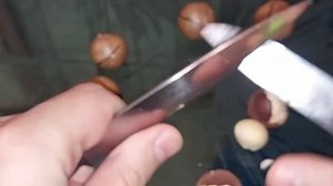 Орех Макадамия как открыть