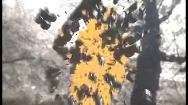 Granát 3D Blender open source смотреть онлайн