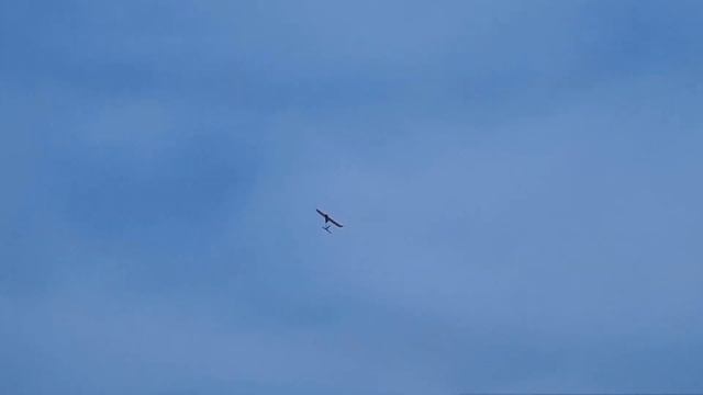 Модель планера Аллет с элеронами / ALNADO смотреть онлайн